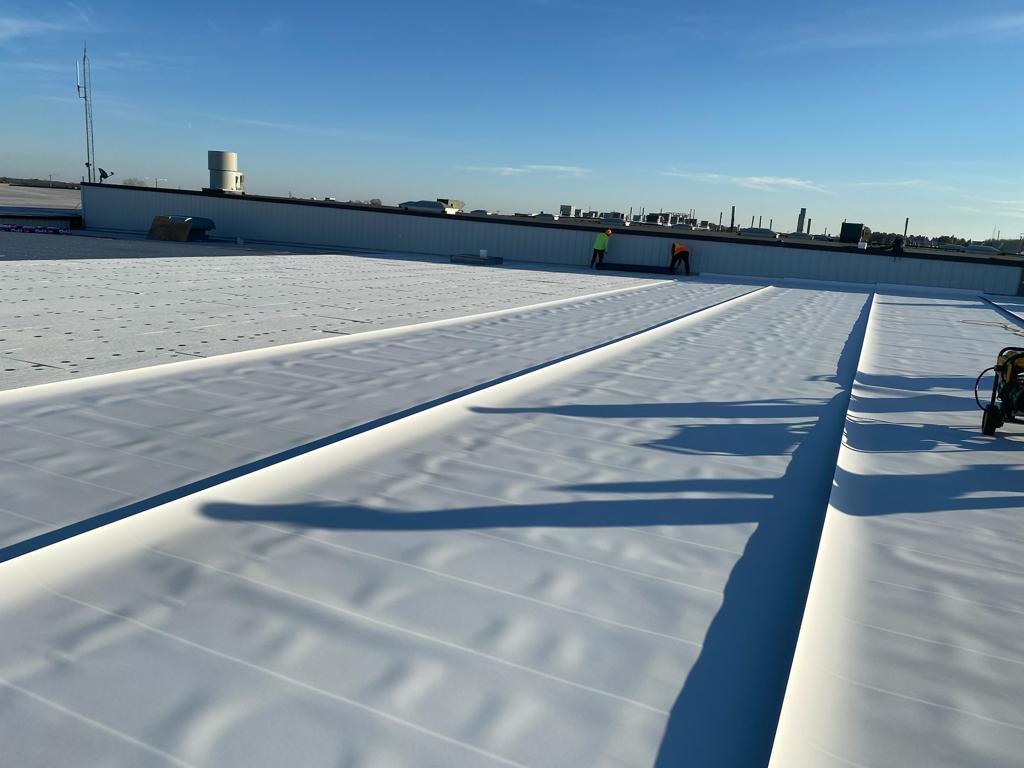 Expert Roofing Solutions 